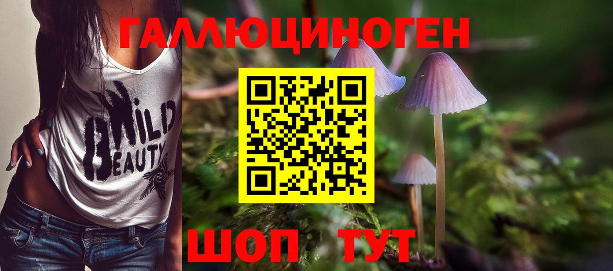 Псилоцибиновые грибы прущие грибы Нурлат
