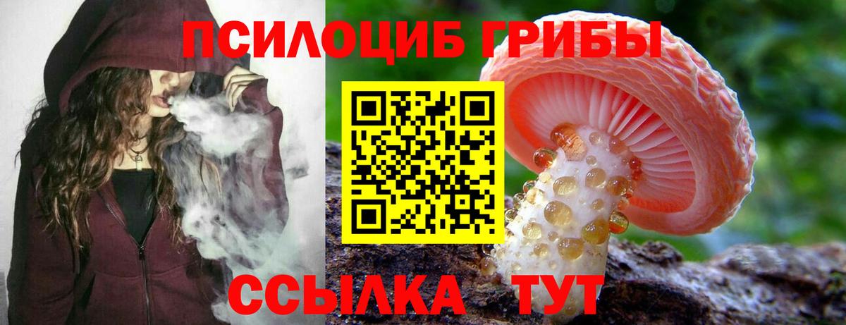 Псилоцибиновые грибы мицелий  Псилоцибиновые грибы мухоморы  Нурлат  Вход с VPN 
